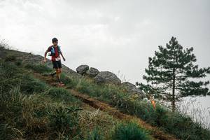 BIB: 
                            <button type="button" onclick="openModal(25996704)" class="btn btn-primary btn-sm float-right btn-popup" data-toggle="modal" data-target=".modal-high-quality">
                        <i class="fas fa-shopping-cart"></i> Add to Cart
                    </button>
                                            <button type="button" onclick="isThisMe(25996704, true)" class="btn btn-success btn-sm float-right btn-popup btn-isme hidden" data-toggle="tooltip" data-placement="bottom" title="นี่คือรูปของคุณใช่ไหม คลิกที่นี่เพื่อเอาเข้าอัลบั้ม">
                        <i class="fas fa-plus"></i> Add to album
                    </button>
                    <button type="button" onclick="isThisMe(25996704, false)" class="btn btn-warning btn-sm float-right btn-popup btn-isnotme hidden">
                        <i class="fas fa-ban"></i> Remove from album
                    </button>